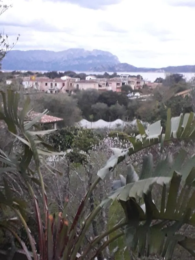 Bed & Breakfast B&B Nuraghes Olbia